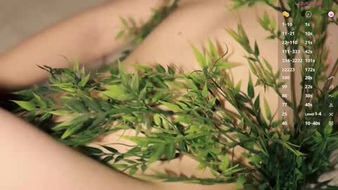 Toshi online show from January 16, 2026, 1:04 pm