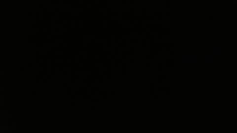 totoro_239 online show from March 24, 2026, 8:36 pm