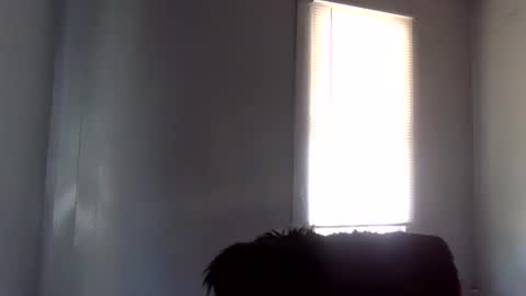 Snapshot of toxicanikki chatting on February 4, 2026, 8:36 pm toxicanikki online show from February 4, 2026, 8:36 pm