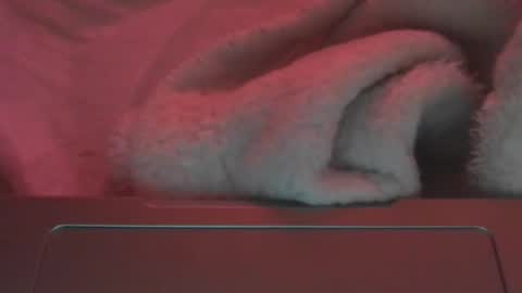 Snapshot of toxicanikki chatting on February 23, 2026, 8:17 pm toxicanikki online show from February 23, 2026, 8:17 pm