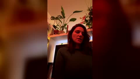 GoToyShop online show from February 19, 2026, 10:06 pm