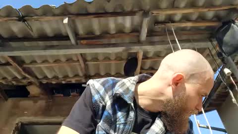 Tralalabala online show from March 3, 2026, 11:49 am