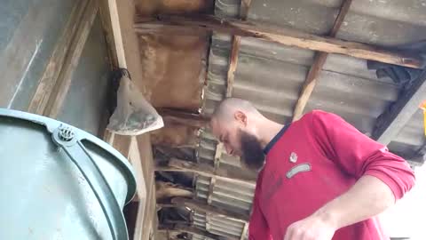 Tralalabala online show from March 5, 2026, 12:01 pm