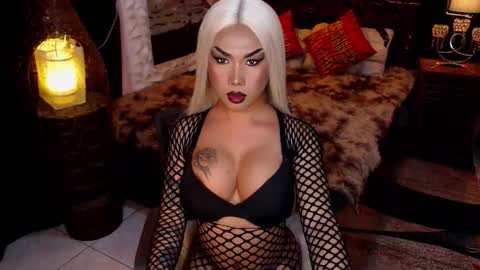 transpornidol online show from February 4, 2026, 8:53 am