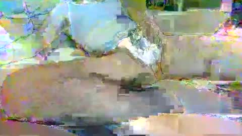 Snapshot of tree33007 chatting on November 3, 2025, 6:25 am tree33007 online show from November 3, 2025, 6:25 am