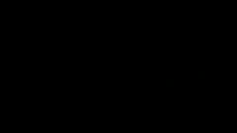 Snapshot of treimann chatting on December 12, 2024, 8:53 pm Thorcci online show from December 12, 2024, 8:53 pm