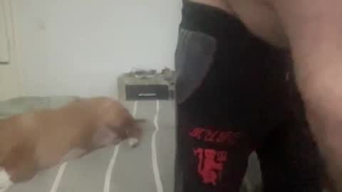 Ramiro online show from April 11, 2026, 12:15 am