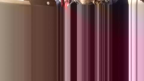 trypodman online show from December 11, 2024, 4:31 pm