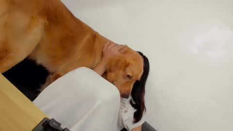 ts_danielahugecock_xxx online show from December 31, 2024, 12:43 am