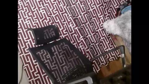 SARCY online show from March 11, 2026, 11:33 pm