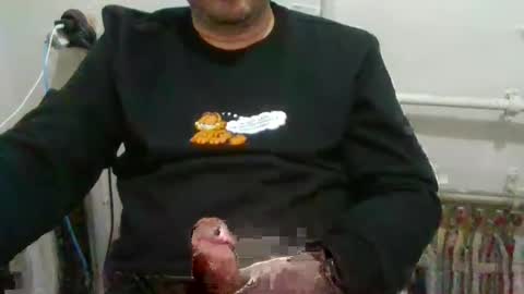 Snapshot of turkishdaddy34 chatting on February 12, 2025, 5:37 pm turkishdaddy34 online show from February 12, 2025, 5:37 pm