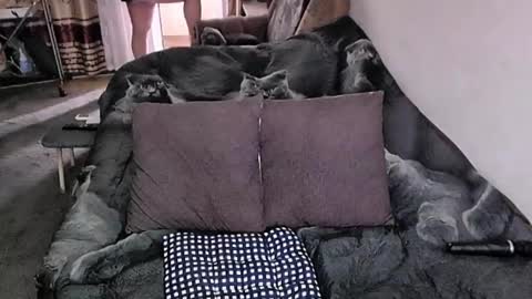 Lana online show from November 20, 2025, 4:12 am