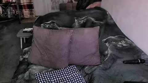 Lana online show from March 16, 2026, 6:45 pm