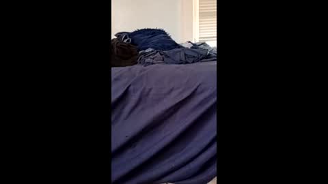 twe4kseeker online show from April 21, 2026, 8:55 pm