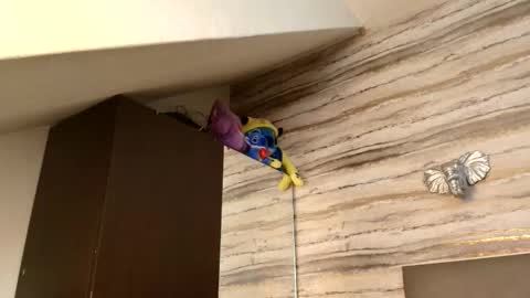 twinslovers_ online show from January 6, 2026, 3:32 am