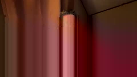 Snapshot of twosmallholes42 chatting on March 1, 2026, 4:03 am twosmallholes42 online show from March 1, 2026, 4:03 am