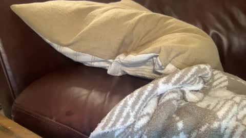 ty223222 online show from February 6, 2025, 10:37 am