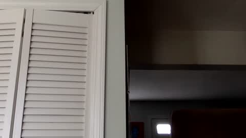 Tyler Durden online show from March 2, 2025, 7:45 pm