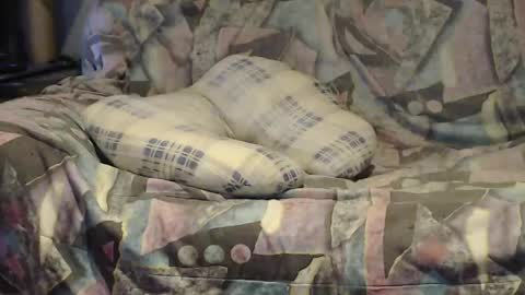 Helena and Tyson online show from April 25, 2026, 2:03 am