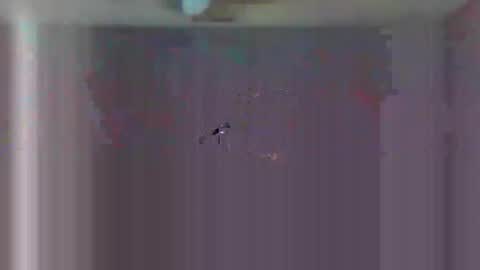 urls2025 online show from November 23, 2025, 4:34 am