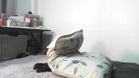 Snapshot of urnightmarets chatting on February 3, 2026, 9:03 am Rbabes online show from February 3, 2026, 9:03 am