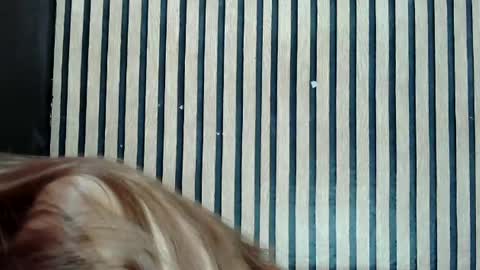 Jane online show from February 25, 2025, 12:45 pm