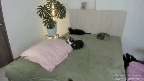 Snapshot of uryko_yor chatting on April 24, 2026, 10:56 pm online show from April 24, 2026, 10:56 pm