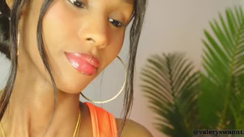 Valery swan1 online show from January 19, 2026, 3:54 am