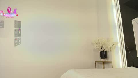 Snapshot of valery_wang chatting on February 25, 2025, 3:27 pm Val online show from February 25, 2025, 3:27 pm