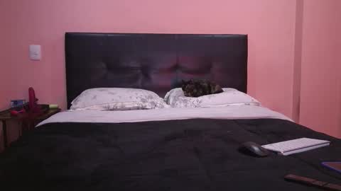 Snapshot of vamp_noah chatting on February 11, 2026, 1:49 pm Vamp Noah and Dan online show from February 11, 2026, 1:49 pm