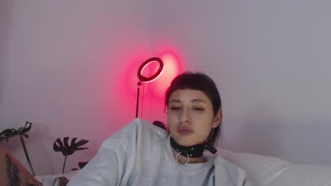 Snapshot of vandalovee chatting on February 25, 2025, 9:20 am Babi Alu online show from February 25, 2025, 9:20 am