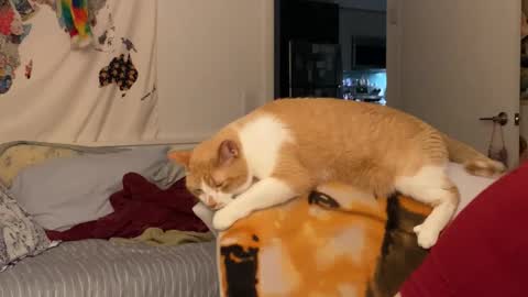 Snapshot of vanessapark chatting on December 15, 2025, 2:05 am Vanessa online show from December 15, 2025, 2:05 am