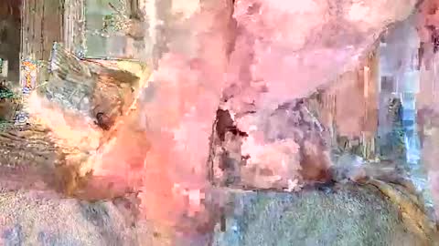 Snapshot of vanillasnackpack007 chatting on February 3, 2026, 5:40 pm vanillasnackpack007 online show from February 3, 2026, 5:40 pm