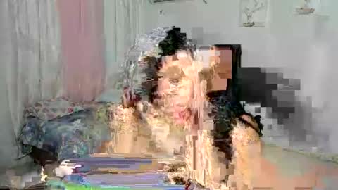 venus online show from November 30, 2025, 2:04 am