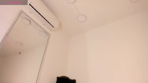 vera online show from November 5, 2025, 11:21 am