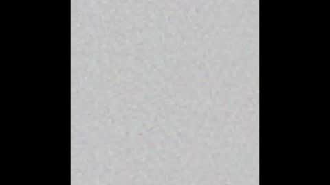 Veronika von Kleist online show from December 3, 2025, 1:53 pm