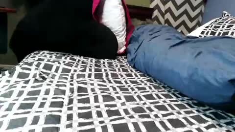 Snapshot of vexnew chatting on February 21, 2026, 9:38 pm Vexnew online show from February 21, 2026, 9:38 pm