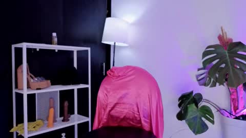 Vicky Greys online show from November 27, 2025, 8:44 pm