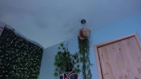 Victoria   online show from March 25, 2026, 10:05 pm