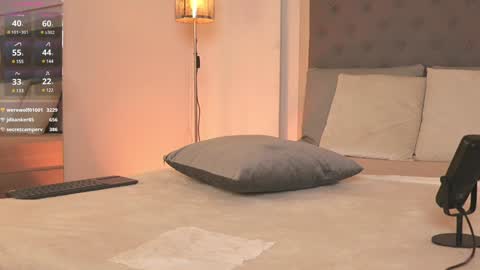         online show from January 28, 2025, 3:14 pm