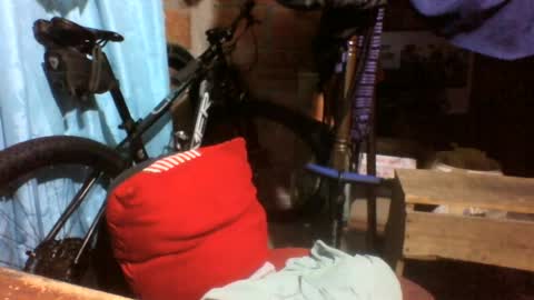 viernes1010 online show from June 13, 2026, 12:36 pm