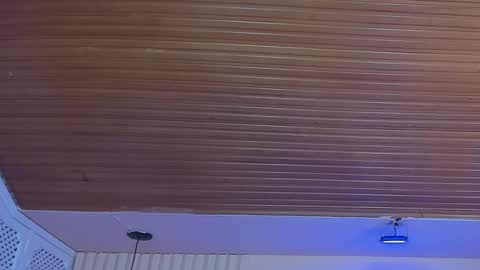 Viiolett online show from October 1, 2025, 8:26 pm