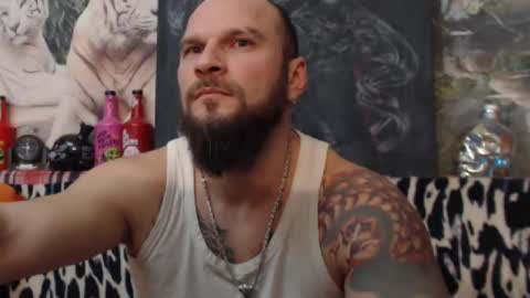 Snapshot of viking_me chatting on December 24, 2024, 8:49 pm viking online show from December 24, 2024, 8:49 pm
