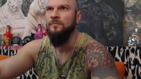 Snapshot of viking_me chatting on December 27, 2024, 6:14 am viking online show from December 27, 2024, 6:14 am