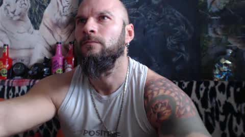 Snapshot of viking_me chatting on December 31, 2024, 10:04 am viking online show from December 31, 2024, 10:04 am