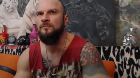 Snapshot of viking_me chatting on January 1, 2025, 8:04 pm viking online show from January 1, 2025, 8:04 pm