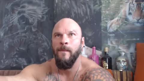 Snapshot of viking_me chatting on September 12, 2025, 7:08 am viking online show from September 12, 2025, 7:08 am