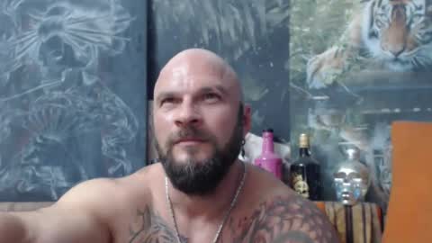 Snapshot of viking_me chatting on September 15, 2025, 6:41 pm viking online show from September 15, 2025, 6:41 pm