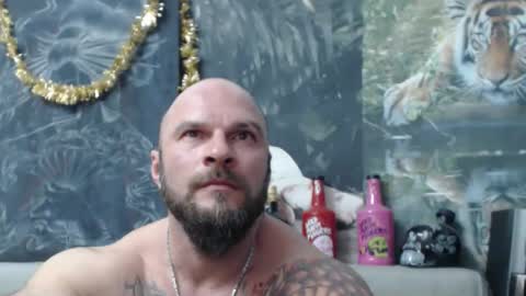 viking online show from February 27, 2026, 7:14 pm