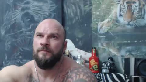 Snapshot of viking_me chatting on April 17, 2026, 6:11 pm viking online show from April 17, 2026, 6:11 pm